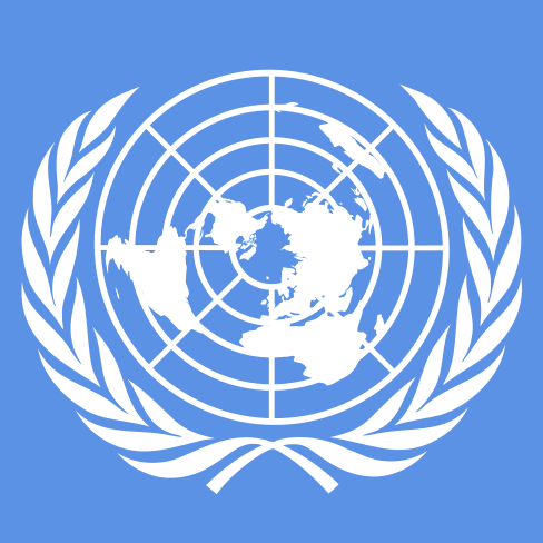 Inside the Model UN