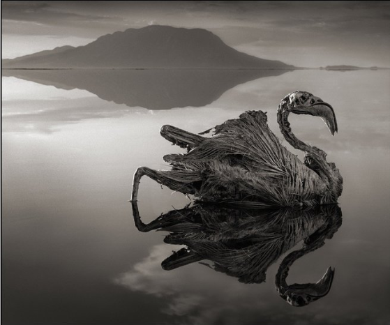 what makes lake natron dangerous