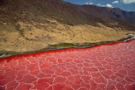 is lake natron dangerous