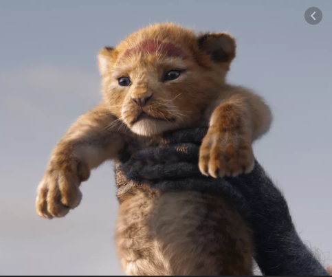 A New King: Live Action Lion King Movie Review