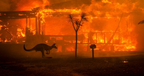 Australian Wildfires