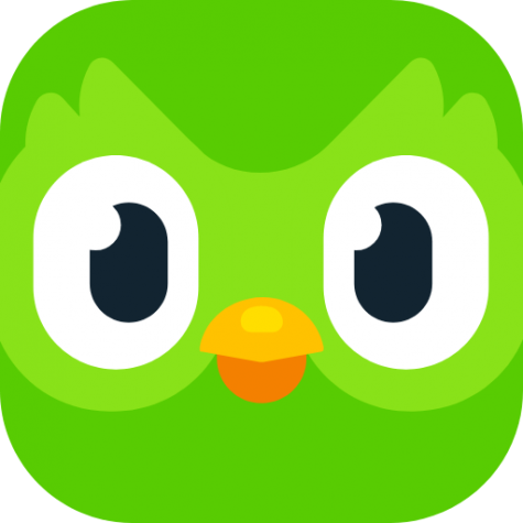 Duolingo: Do This App!