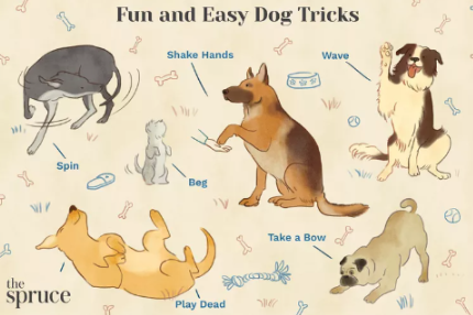 How to Train Your Dog: Fun and Easy Dog Tricks